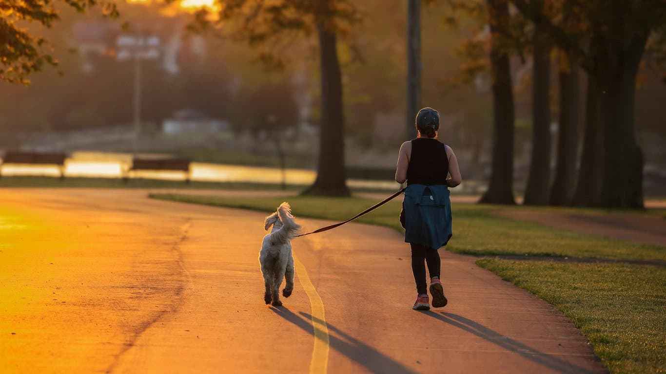 Woman running with dog at sunset